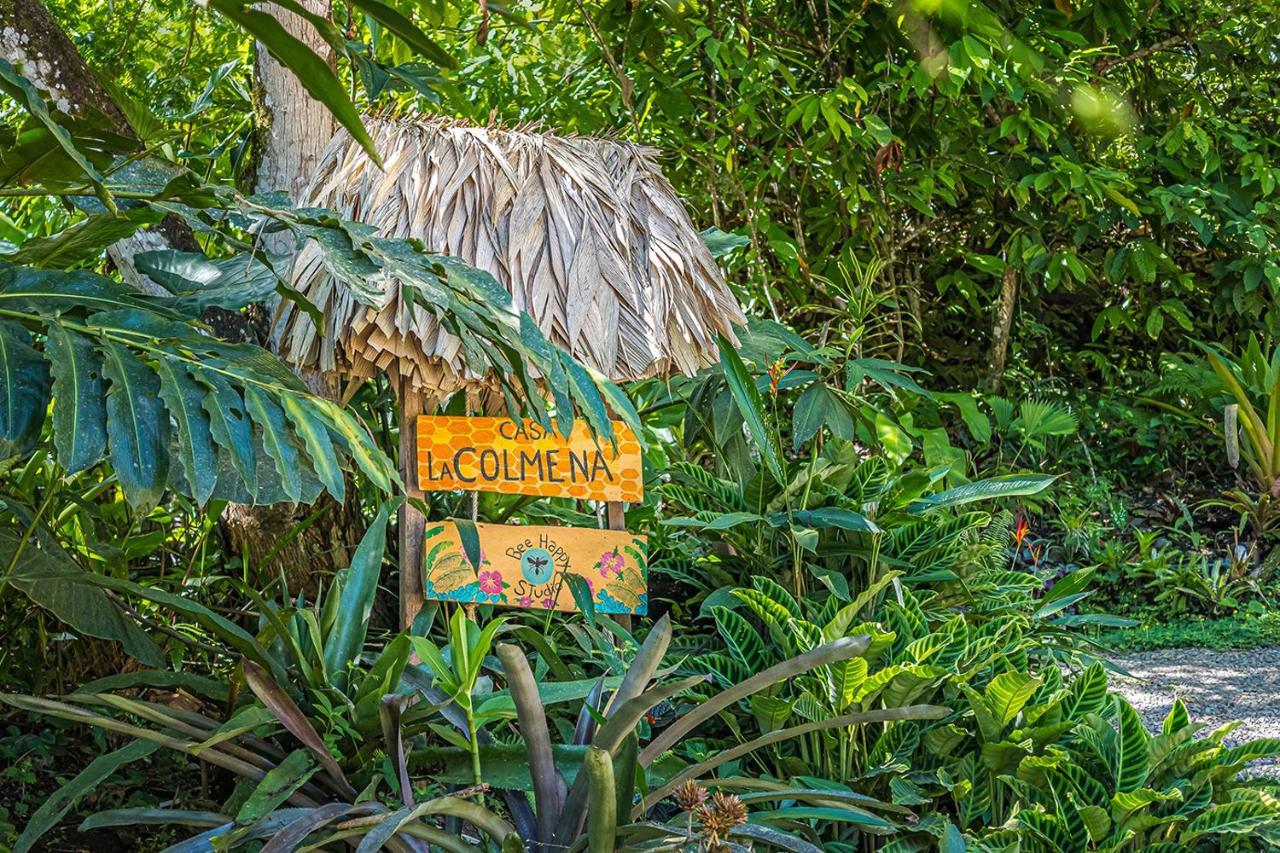 Bee Happy Apartment Cahuita